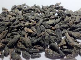 forest product exporter