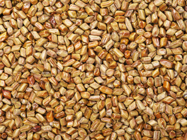 forest product exporter