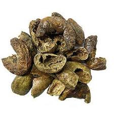 forest product exporter