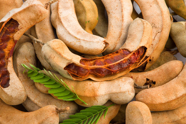 forest product exporter